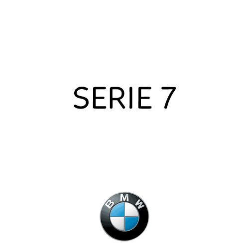 SERIE 7