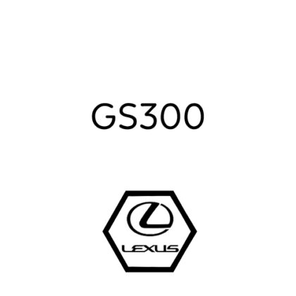 GS300
