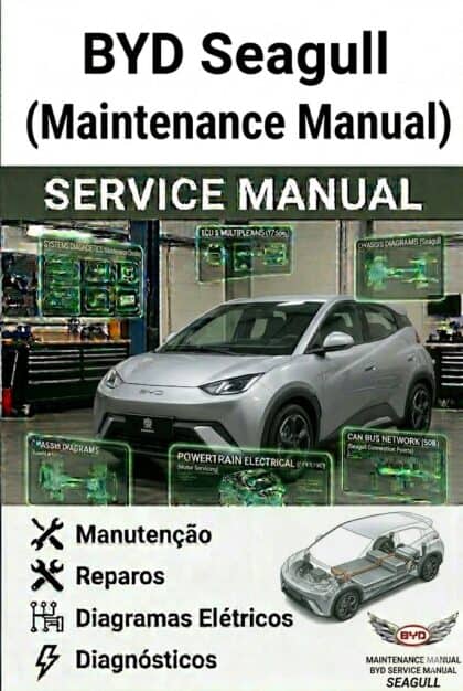 MANUAL DE SERVIÇO - BYD Seagull (Maintenance Manual)
