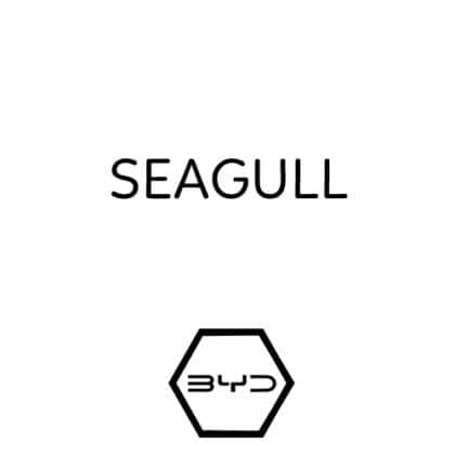 SEAGULL